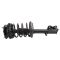 Strut & Spring Assembly
