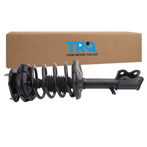 Strut & Spring Assembly