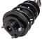 Strut & Spring Assembly