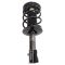 Strut & Spring Assembly