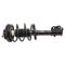 Strut & Spring Assembly