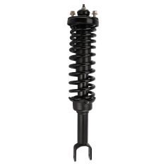92-95 Honda Civic Rear Strut & Spring Assembly LR