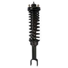 92-95 Honda Civic Rear Strut & Spring Assembly RR