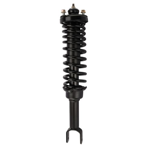 92-95 Honda Civic Rear Strut & Spring Assembly RR