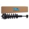 Strut & Spring Assembly