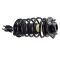 Strut & Spring Assembly