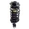 Strut & Spring Assembly