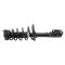 Strut & Spring Assembly