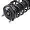 Strut & Spring Assembly