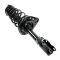 07-11 Toyota Camry, 06-11 Avalon Rear Strut & Spring Assy LR