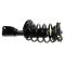 Strut & Spring Assembly