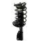 Strut & Spring Assembly