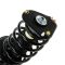 Strut & Spring Assembly