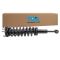 Strut & Spring Assembly