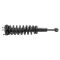 Strut & Spring Assembly