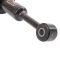 Strut & Spring Assembly