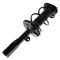 03-08 Toyota Corolla Front Strut & Spring Assy LF