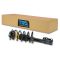 04-12 Chevy Malibu; 05-10 Pontiac G6; 07-09 Saturn Aura Front Strut & Spring Assembly LF