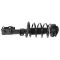 Strut & Spring Assembly
