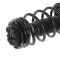 Strut & Spring Assembly