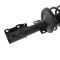 Strut & Spring Assembly