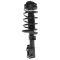 Strut & Spring Assembly