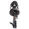 Strut & Spring Assembly