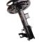 Strut & Spring Assembly
