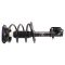 Strut & Spring Assembly