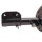 Strut & Spring Assembly