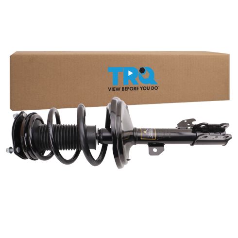 Strut & Spring Assembly