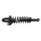 Strut & Spring Assembly