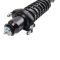 Strut & Spring Assembly