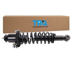Strut & Spring Assembly
