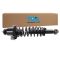 Strut & Spring Assembly