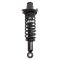 Strut & Spring Assembly