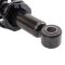 Strut & Spring Assembly