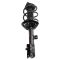 Strut & Spring Assembly