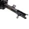 Strut & Spring Assembly