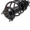 Strut & Spring Assembly