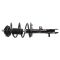 Strut & Spring Assembly
