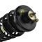 98-02 Honda Accord; 99-03 Acura TL; 01-03 Acura CL Rear Strut & Spring Assy LR = RR