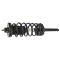 Strut & Spring Assembly