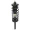 Strut & Spring Assembly