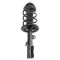 Strut & Spring Assembly