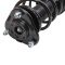Strut & Spring Assembly