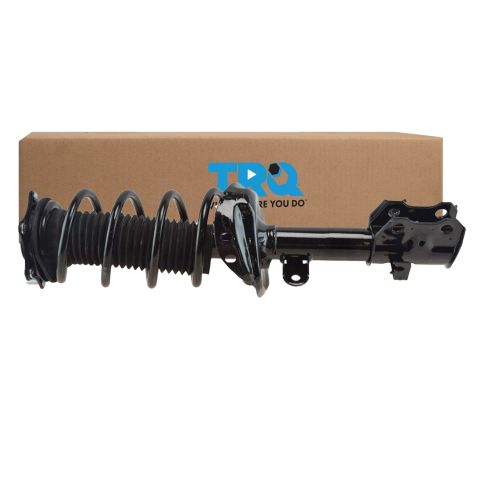 Strut & Spring Assembly