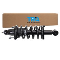 Strut & Spring Assembly