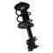 04-09 Nissan Quest Front Strut & Spring Assembly RF