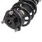 Strut & Spring Assembly